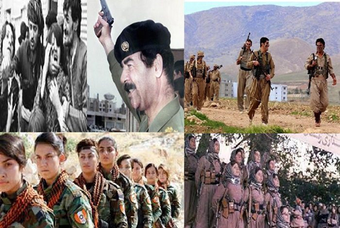 بدیهی ترین اقدام درحمایت از حقوق بشر، برخورد با عناصر گروههای تروریستی - موضوع شریفه محمدی